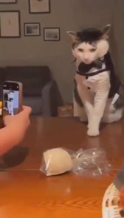 He&rsquo;s so good! AH-