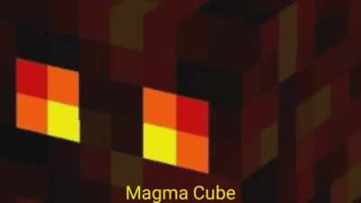 New update leaked