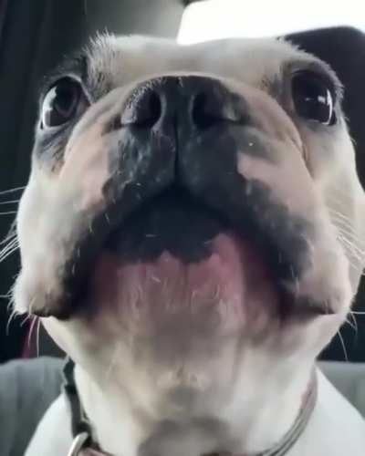 NOOOO