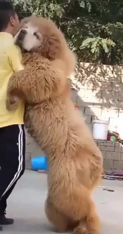 Hugging a bear