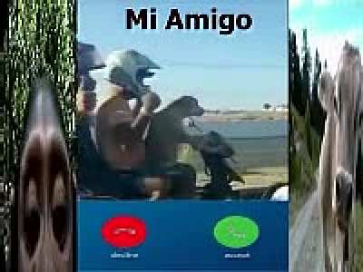 Procedo a subir un momo en video como dice la chaviza