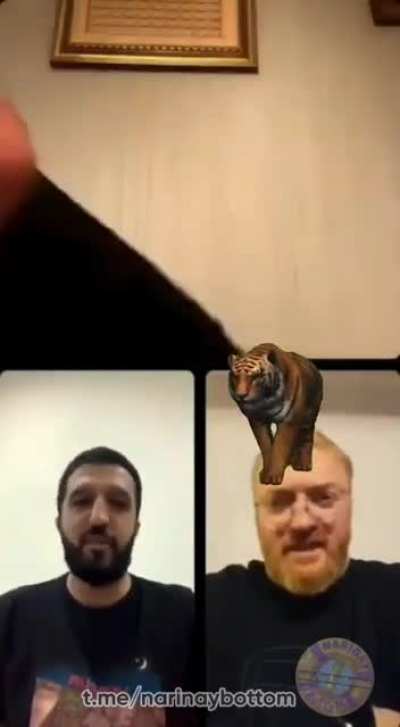 Best stream ever