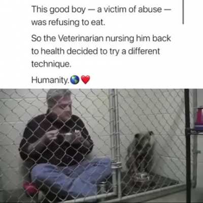 The Good Boy