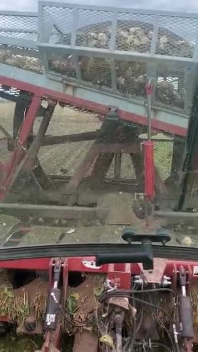 Beet harvest continues in Wyoming, it's been slow due to weather conditions. Should finish up this week!