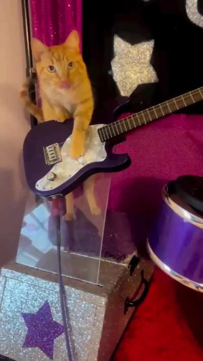 Rock band