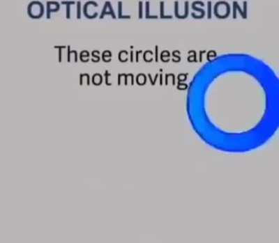 the text is changing color