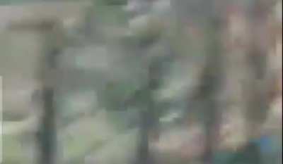 Homi watizap 2