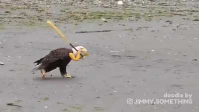 &lsquo;Merica unit