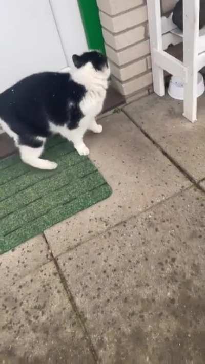 DUITSLAND!
