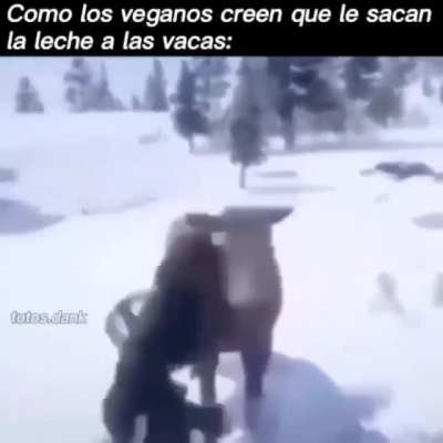 Lechita