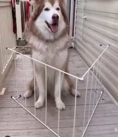 Hey how did you do that?
