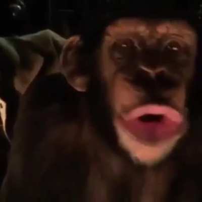 Monkeeee
