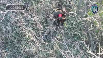 Ukrainian Marines 414th Strike UAV Brigade continues to repel Russian infantry attacks using FPV drones, claiming successful strikes on 3,884 Russian military targets in the first seventeen days of April. Posted Apr. 18, 2025