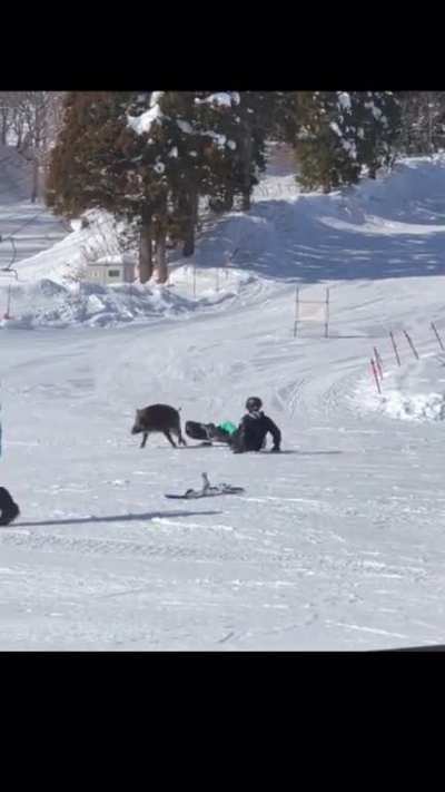 Fuck you snowBOARders