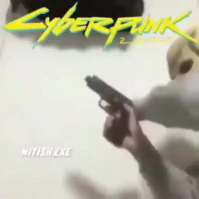Cyberpunk