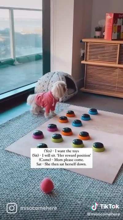 I want my toys plz mom!