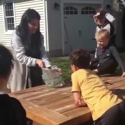 When releasing a butterfly...