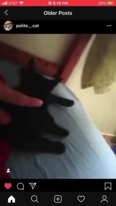 The cat bit him! (I do not own this video)