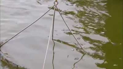 how to farm shrimp