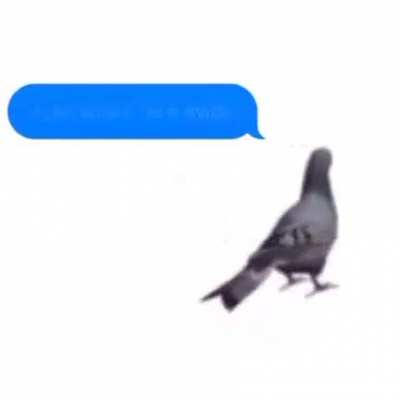 drake