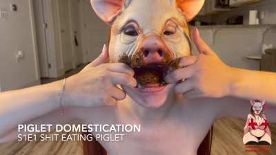 GingerCris - Piglet Domestication: S1E1 Shit Eating Piglet 🐷💩👅👩🏻&zwj;🦰