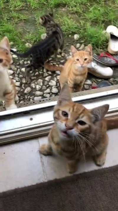 the boys are HUNGRY