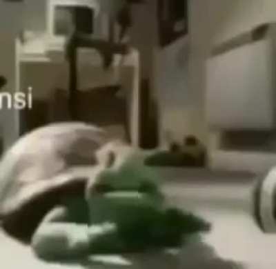 شركةةةة USB