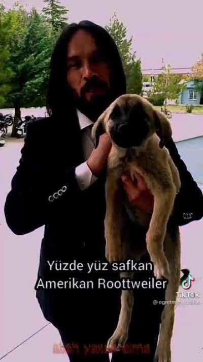 john wick hocam