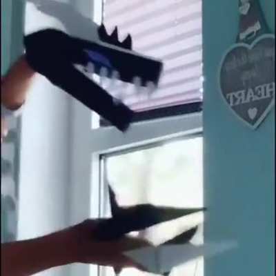 simping over a paper dragon