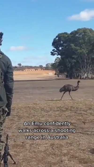 It&rsquo;s about sending a message