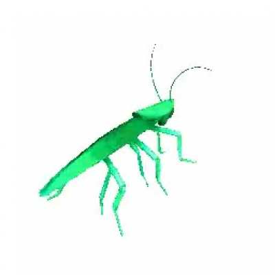 I have joined the roach gang