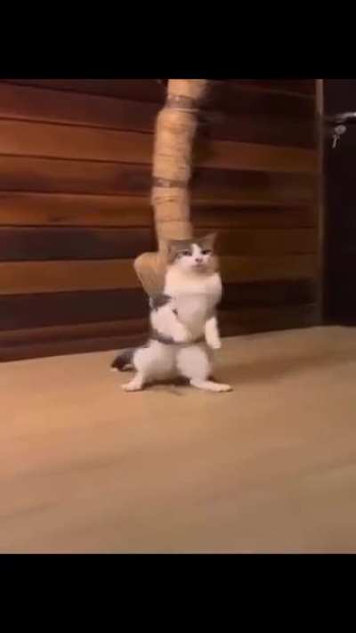 Epic wunker entry