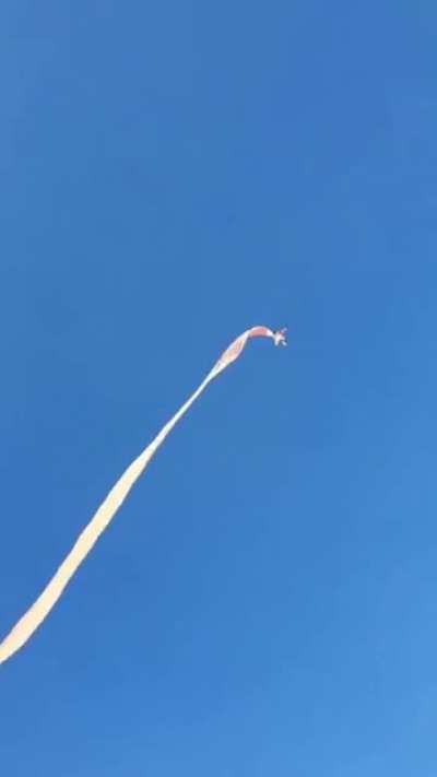 To hold a giant kite down
