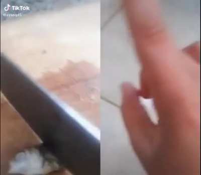 Ya amına koyayım bu millet neden b&ouml;yle? K&uuml;&ccedil;&uuml;c&uuml;k kız videosuna y&uuml;z bin like gelmedi diye balığını &ouml;ld&uuml;rebiliyor. Bu sosyal medyayı &ccedil;ocuklara yasaklamak gerekli aq.