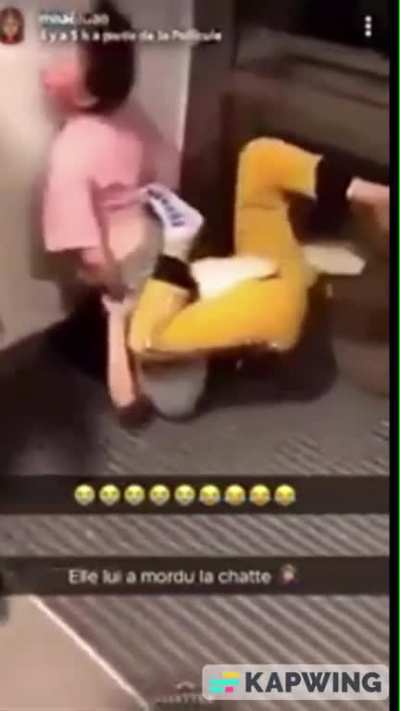 Lesbian fight