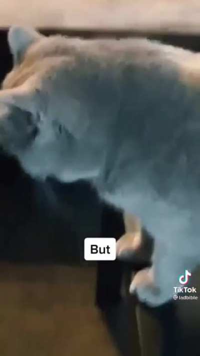 That ain’t me