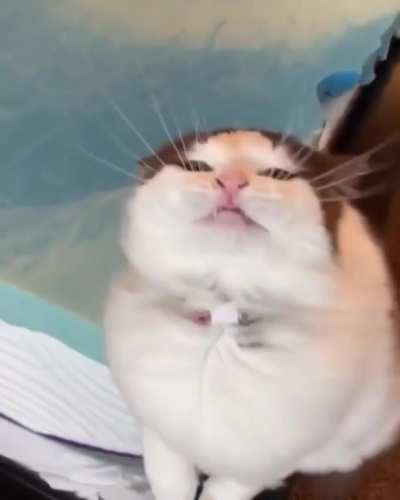 When it&rsquo;s hot outside