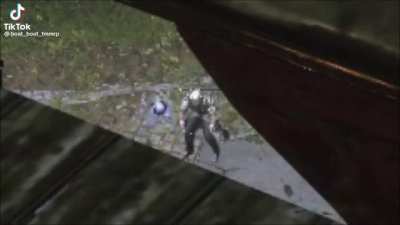 Oryx pov after being one phased