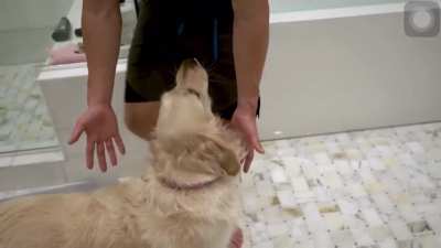 Markiplier lifting dog sounding like taking a poop