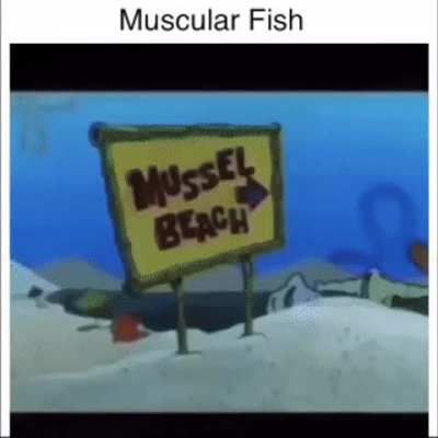 Muscular Fish