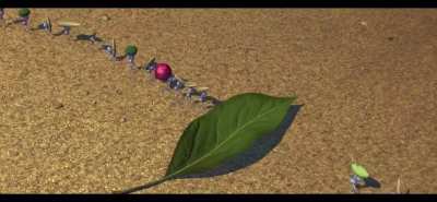 The cars when you park on the curb