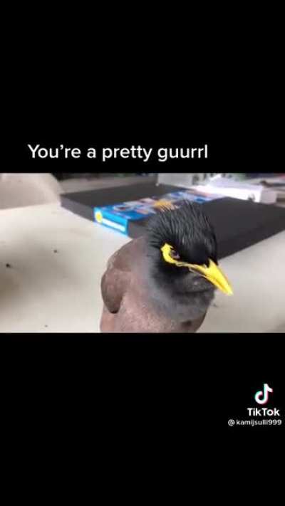 My perception on these birds have changed