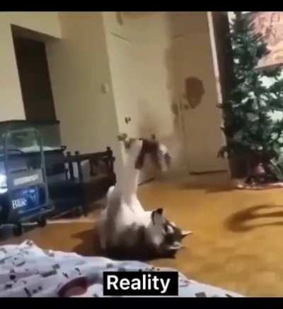 Ожидание / реальность
