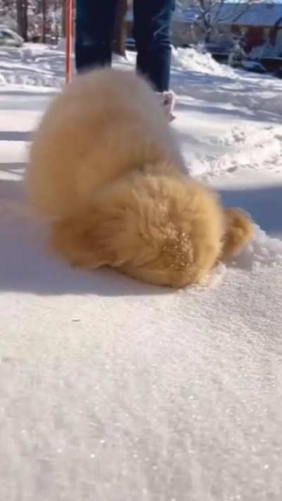 Boop Boop