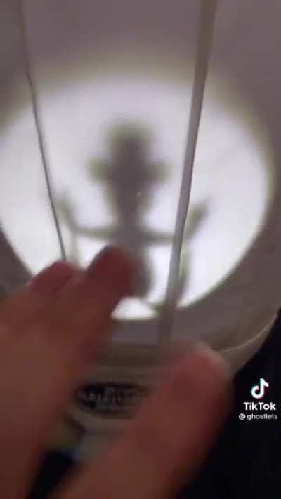 Ratatatatatouille