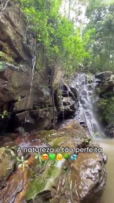 A natureza &eacute; t&atilde;o perfeita