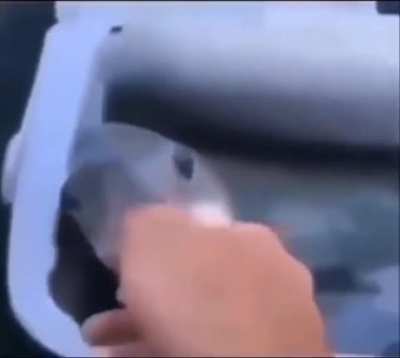 Cute Title