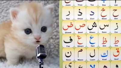 🎤🐈 v2