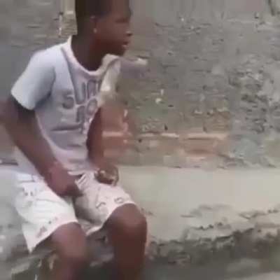 Ai iiiii