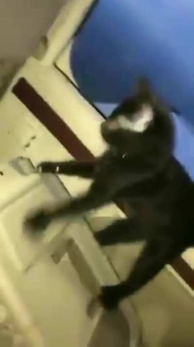 Startled take-off